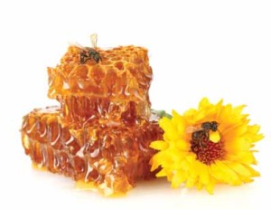 Manuka Honey Treat